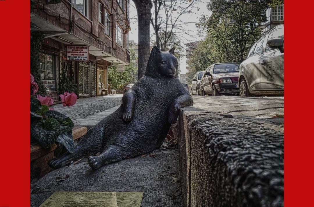 Grădină amenajată complet cu alei și zone verzi